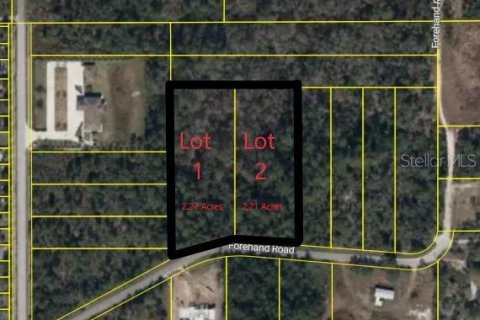 Land in Davenport, Florida № 2390986 - photo 4