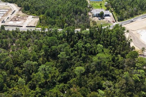 Land in Davenport, Florida № 2390986 - photo 15