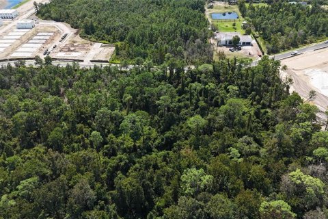 Land in Davenport, Florida № 2390986 - photo 8