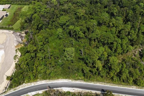 Land in Davenport, Florida № 2390986 - photo 18