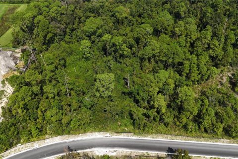 Land in Davenport, Florida № 2390986 - photo 9