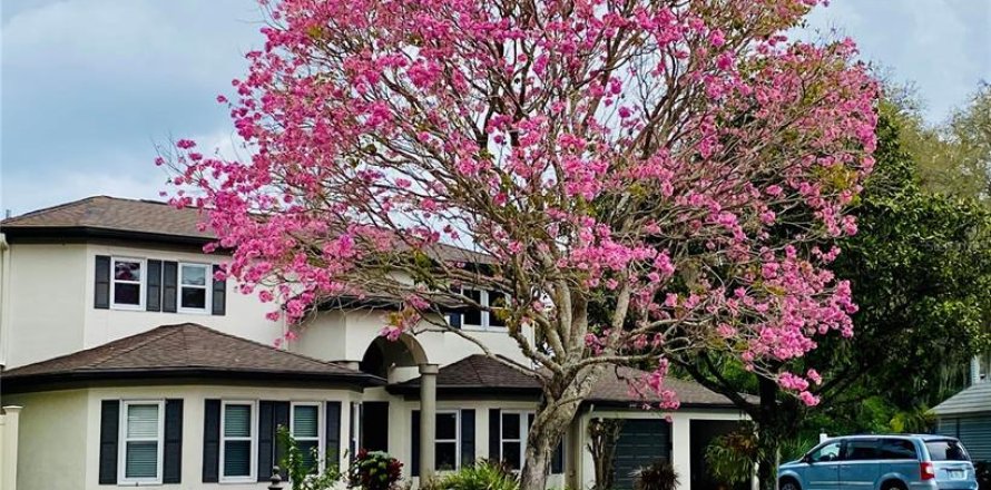Villa ou maison à Lutz, Floride 4 chambres, 296.45 m2 № 2387600
