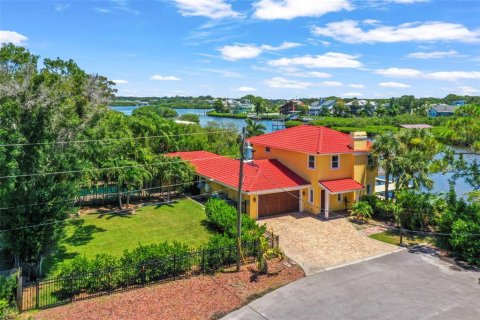House in Palm Harbor, Florida 4 bedrooms, 297.84 sq.m. № 2202748 - photo 2