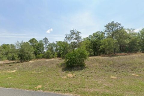 Land in Citrus Springs, Florida № 2162751