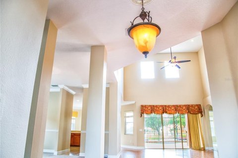 Casa en alquiler en Tampa, Florida, 4 dormitorios, 312.89 m2 № 1797161 - foto 5