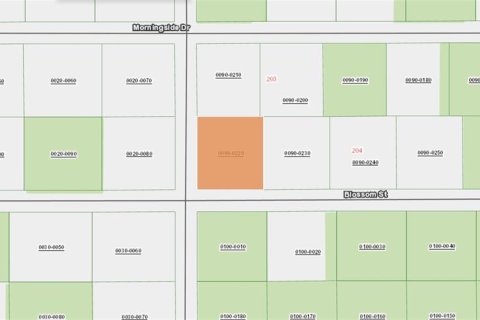 Land in Florahome, Florida № 2165615 - photo 4