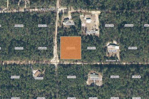 Land in Florahome, Florida № 2165615 - photo 2