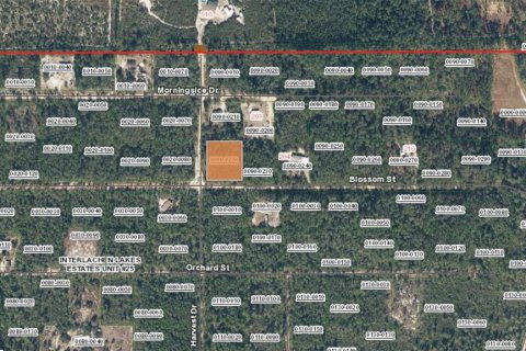Land in Florahome, Florida № 2165615 - photo 3