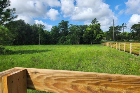 Land in Umatilla, Florida № 1570921 - photo 9