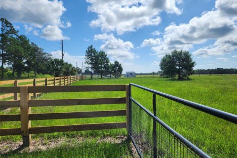 Land in Umatilla, Florida № 1570921 - photo 7