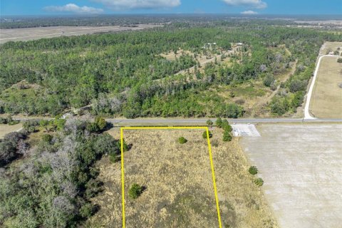 Land in Umatilla, Florida № 1570921 - photo 3