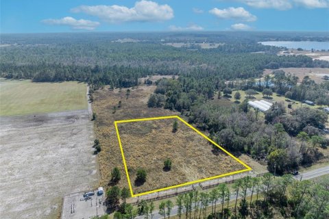 Land in Umatilla, Florida № 1570921 - photo 1