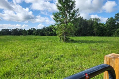 Land in Umatilla, Florida № 1570921 - photo 5