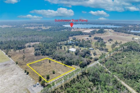 Land in Umatilla, Florida № 1570921 - photo 4