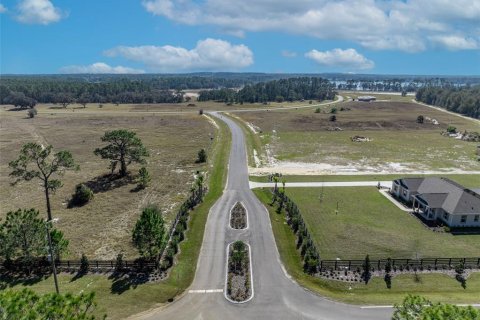 Land in Umatilla, Florida № 1570921 - photo 11