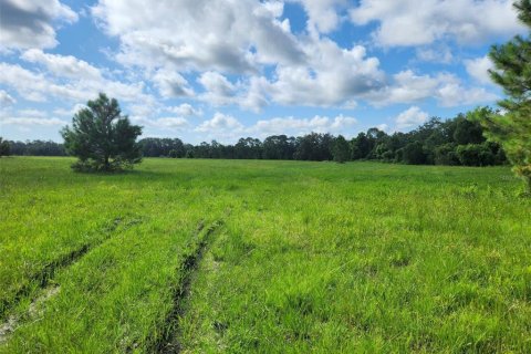 Land in Umatilla, Florida № 1570921 - photo 8