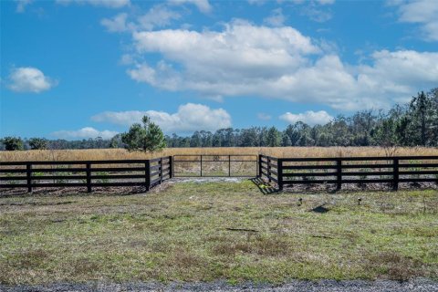 Land in Umatilla, Florida № 1570921 - photo 10