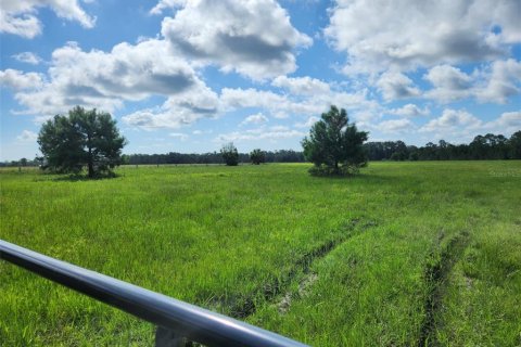 Land in Umatilla, Florida № 1570921 - photo 2