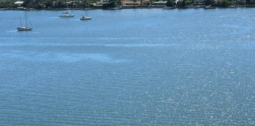 Condo in West Palm Beach, Florida, 1 bedroom  № 1187309