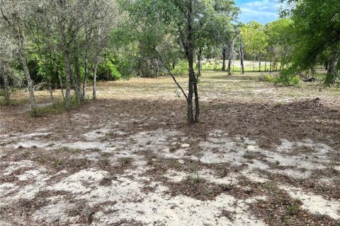 Terrain à vendre à Ocala, Floride № 2199424 - photo 4