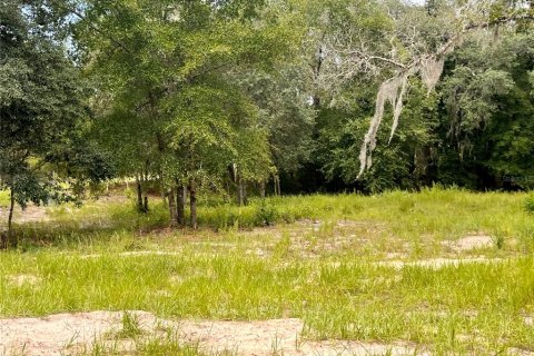 Terrain à vendre à Ocala, Floride № 2199424 - photo 7