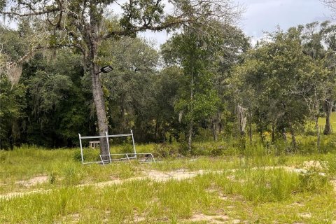 Terrain à vendre à Ocala, Floride № 2199424 - photo 9