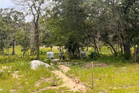Terrain à vendre à Ocala, Floride № 2199424 - photo 8