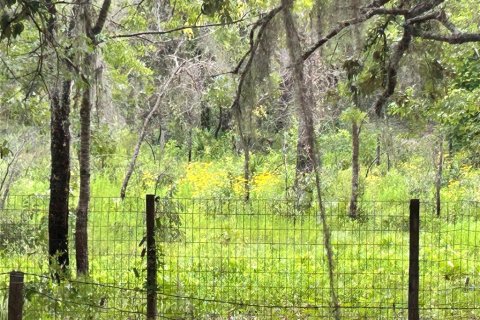 Terrain à vendre à Ocala, Floride № 2199424 - photo 6
