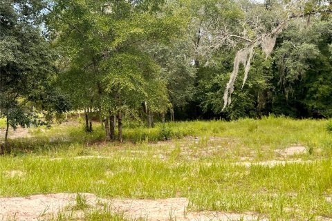 Terrain à vendre à Ocala, Floride № 2199424 - photo 5