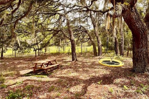 Terrain à vendre à Ocala, Floride № 2199424 - photo 11