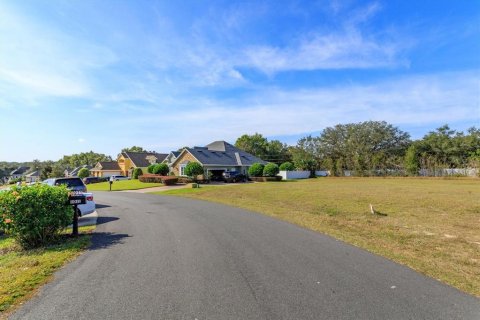Land in Fruitland Park, Florida № 2213184
