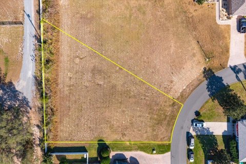 Land in Fruitland Park, Florida № 2213184 - photo 3