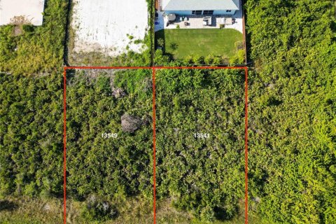 Terrain à Port Charlotte, Floride № 2160000