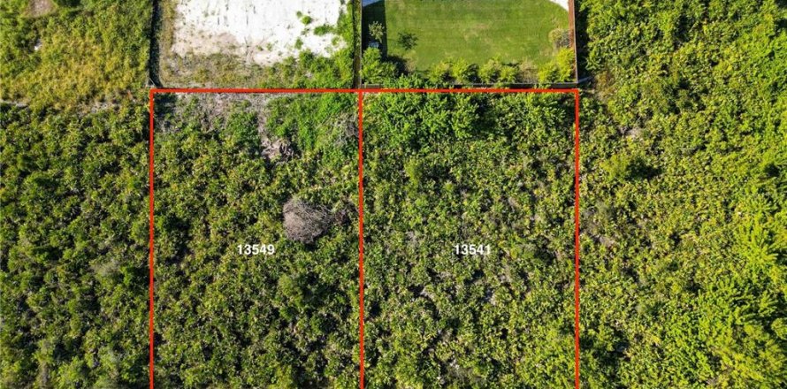 Terrain à Port Charlotte, Floride № 2160000