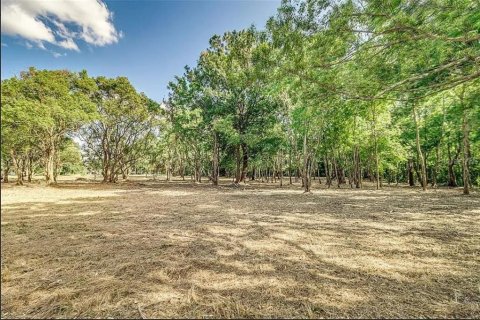 Land in Lakeland, Florida № 1576261 - photo 5