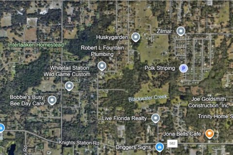 Land in Lakeland, Florida № 1576261 - photo 8