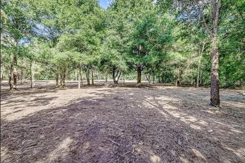 Land in Lakeland, Florida № 1576261 - photo 3