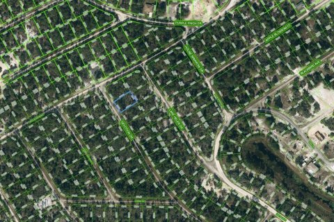 Land in Lake Placid, Florida № 2224023
