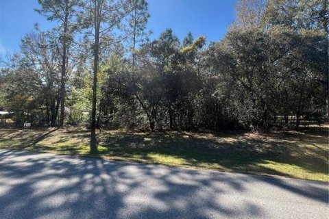 Terreno en venta en Dunnellon, Florida № 1513714 - foto 4
