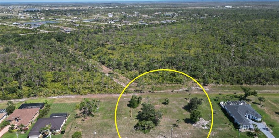 Terreno en Rotonda, Florida № 1870122