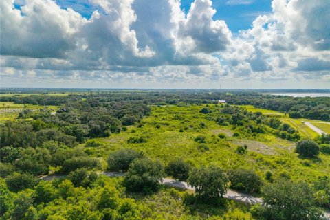 Immobilier commercial à vendre à Sebring, Floride № 1979285 - photo 2