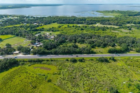 Immobilier commercial à vendre à Sebring, Floride № 1979285 - photo 13