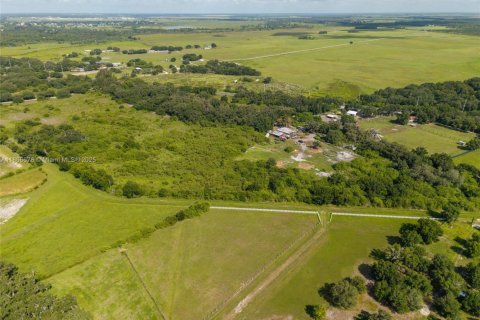Immobilier commercial à vendre à Sebring, Floride № 1979285 - photo 21
