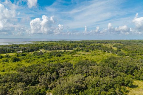 Immobilier commercial à vendre à Sebring, Floride № 1979285 - photo 8
