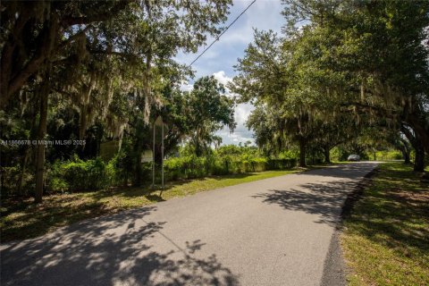 Immobilier commercial à vendre à Sebring, Floride № 1979285 - photo 30