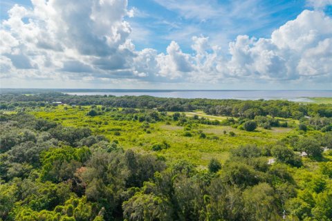 Immobilier commercial à vendre à Sebring, Floride № 1979285 - photo 4