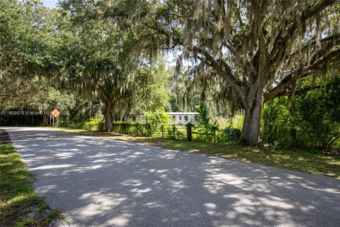 Immobilier commercial à vendre à Sebring, Floride № 1979285 - photo 26