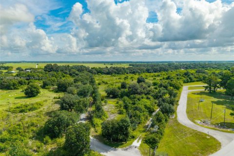 Immobilier commercial à vendre à Sebring, Floride № 1979285 - photo 1
