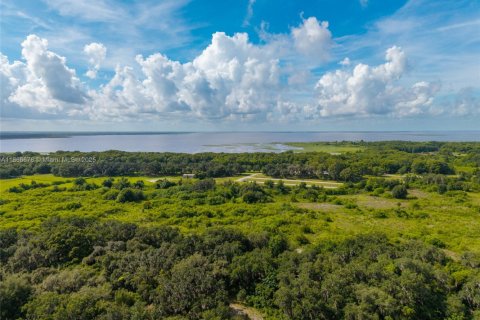 Immobilier commercial à vendre à Sebring, Floride № 1979285 - photo 6