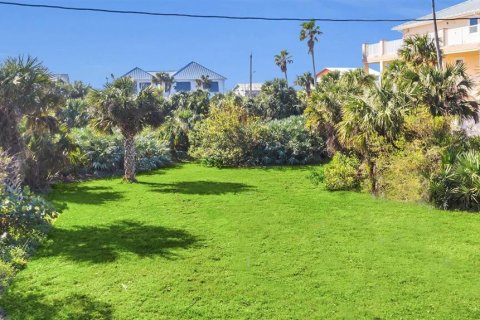Terreno en venta en New Smyrna Beach, Florida № 1554085 - foto 4